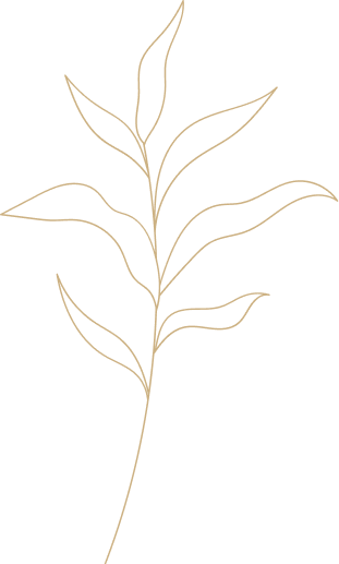 Beauty salon in Bangalore