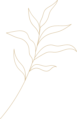 Beauty salon in Bangalore